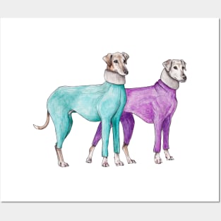 Fashionable Greyhounds Ready for Winter Posters and Art